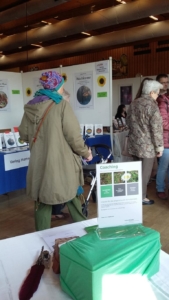 Coaching-naturimpuls-Persönlichkeitsentwicklung-Buchmesse
