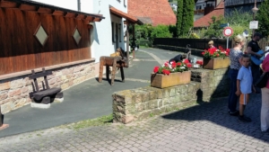 Stier aus Ungarn
