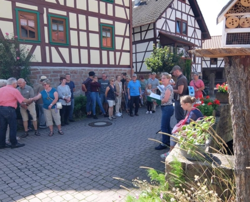 Sonntagsspaziergang