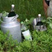 naturimpuls-Diabolo-Menthe-Grünseelchen-Wanderweg