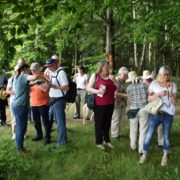 Wandern-Flörsbachtal-Lohrhaupten-Grünseelchenweg