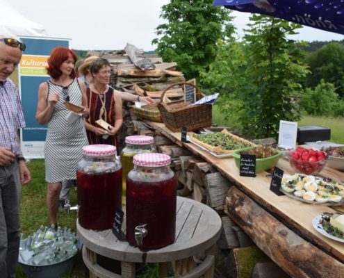 Kultursommer-Main-Kinzig-Fulda-Grünseelchen-naturimpuls