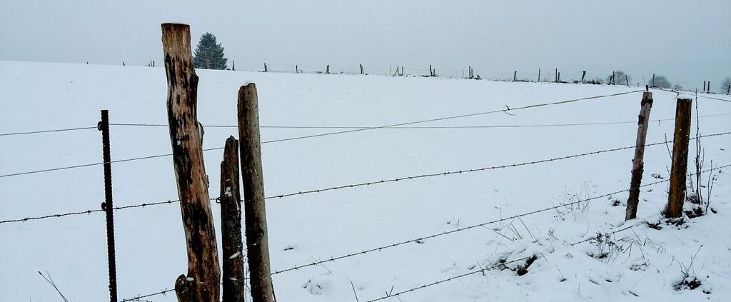 Problemlösung-Nachhaltig-naturimpuls Persönlichkeitsentwicklung