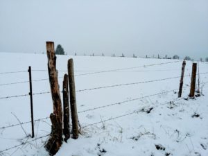 Problemlösung-Nachhaltig-naturimpuls Persönlichkeitsentwicklung