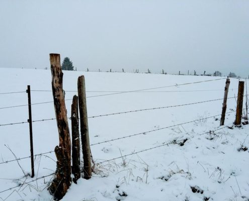 Problemlösung-Nachhaltig-naturimpuls Persönlichkeitsentwicklung