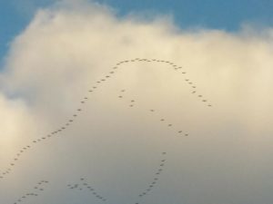 naturimpuls-Karnichzug-Persönlichkeitsentwicklung