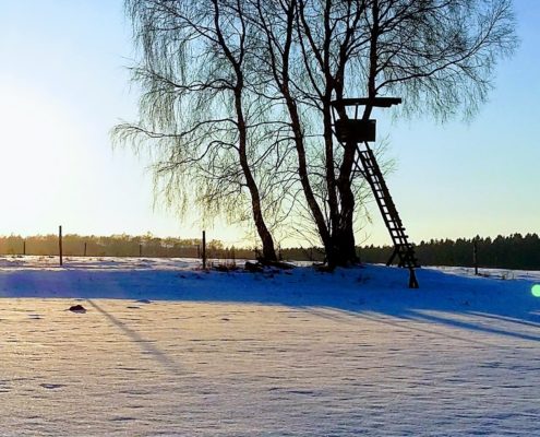 naturimpuls-coaching-seminar-Gegenlicht