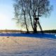 naturimpuls-coaching-seminar-Gegenlicht