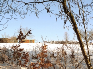 Persönlichkeitstraining-mitten-im-Spessart